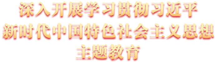學習貫徹習近平新時代中國特色社會主義思想主題教育