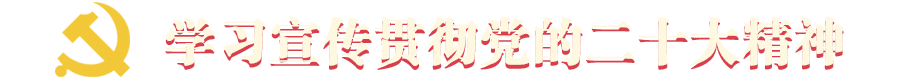學習宣傳貫徹黨的二十大精神