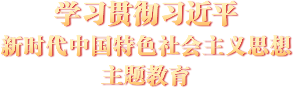 學習貫徹習近平新時代中國特色社會主義思想主題教育
