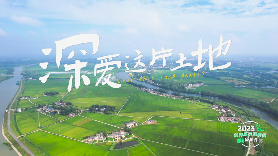 深愛這片土地