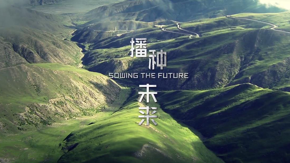 播種未來